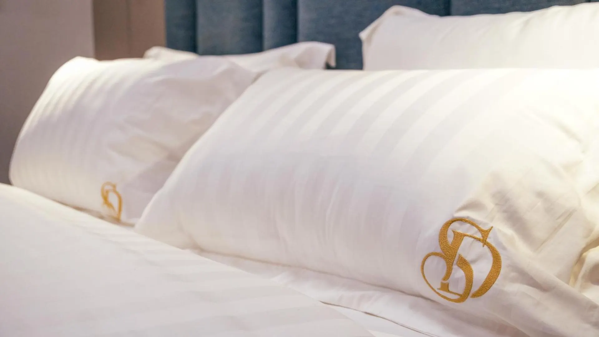 Hotel Dirista Shkoder