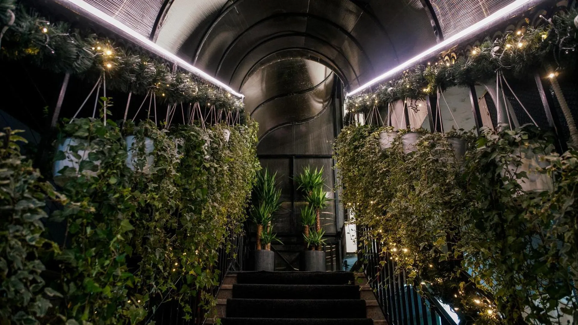 Hotel Dirista Shkoder Albania